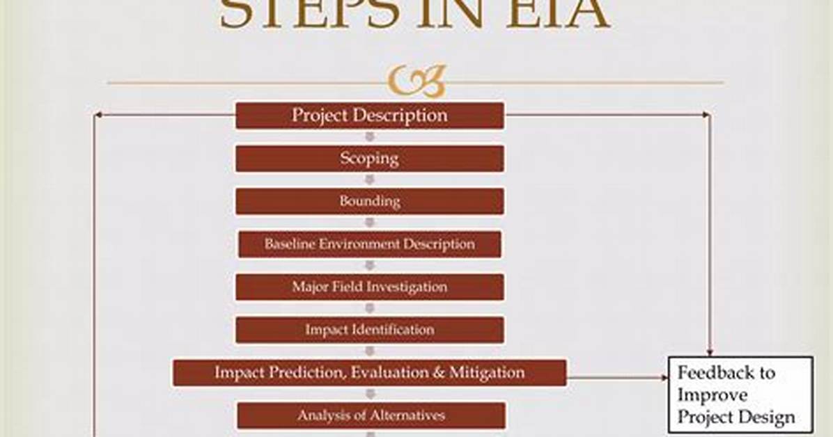 Which Project Needs Eia?