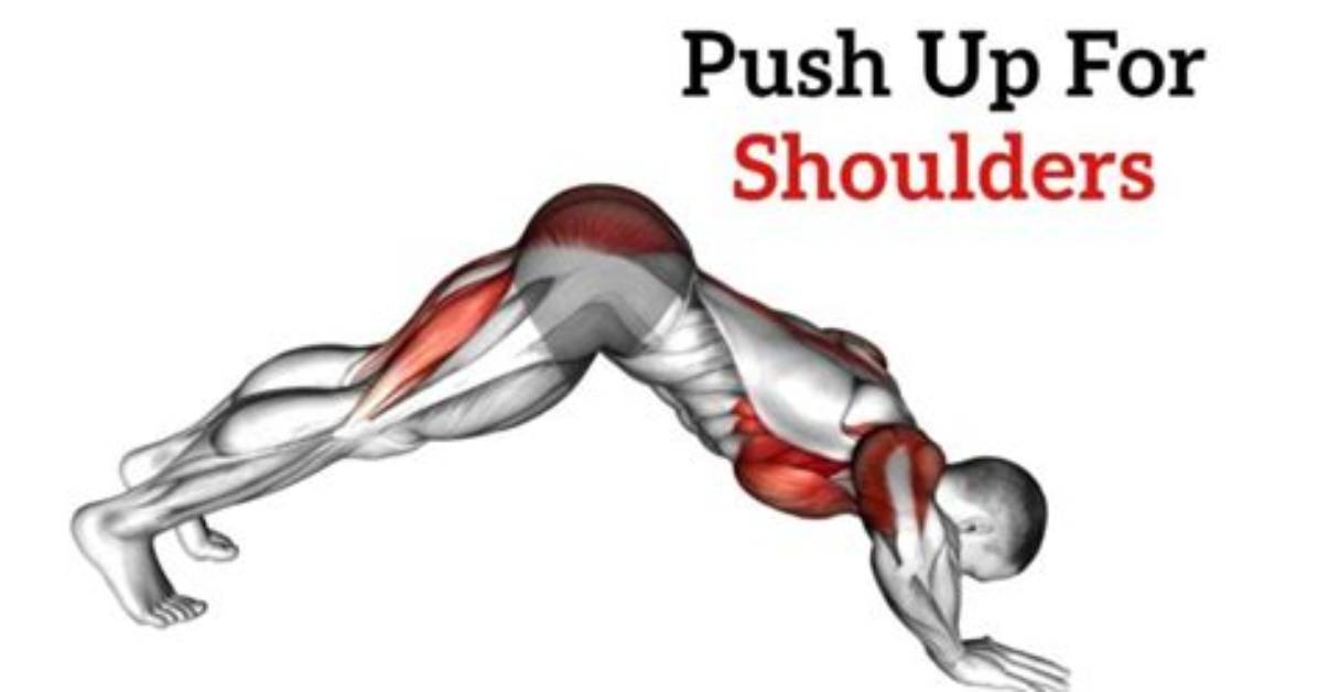Which Pushups Work Shoulders?