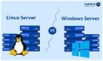 Which Server Is Best Linux or Windows?