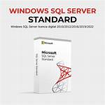 Which Sql Server Is Best for Windows 10?