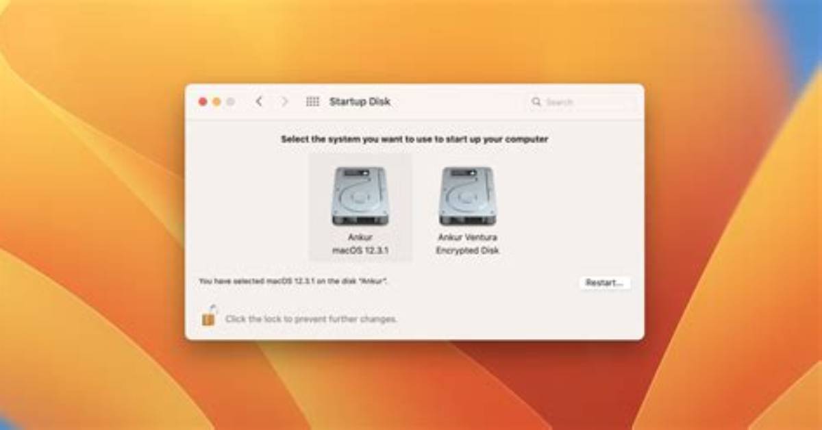 Which Startup Disk for Mac?