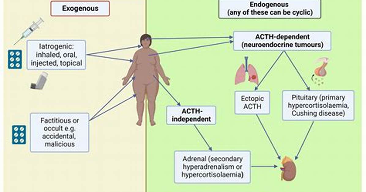 Which Statement Characterizes Cushing Syndrome?