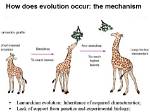 Which Statement Describes Lamarckian Evolution?