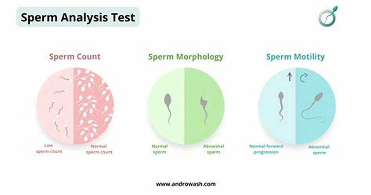 Which Test for Sperm Count?
