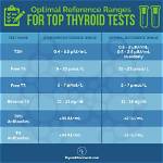 Which Thyroid Test Is Best?