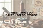 Which Tools Do Paleontologists Use?