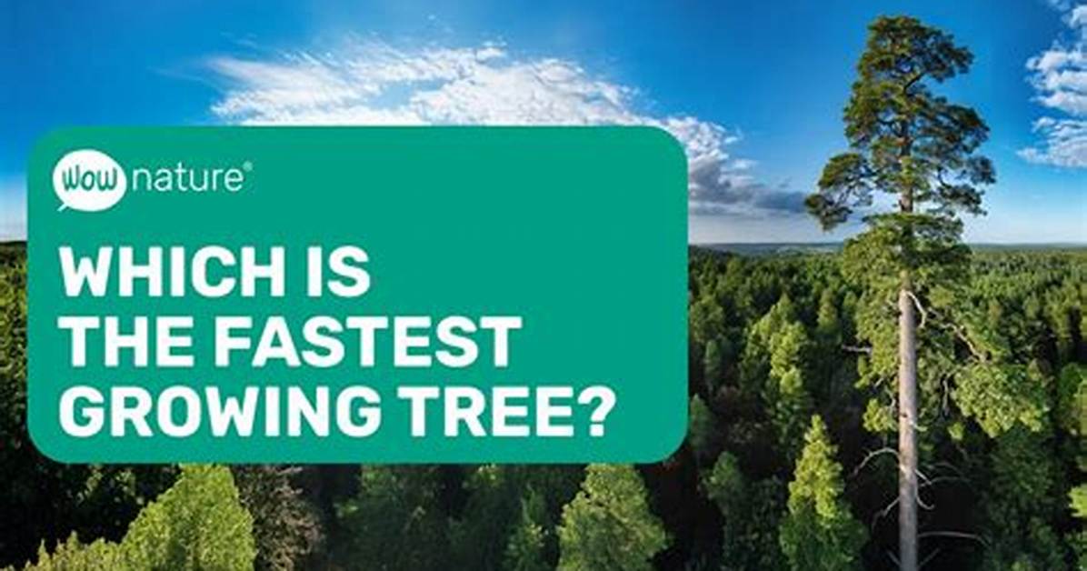 Which Tree Grows Fastest