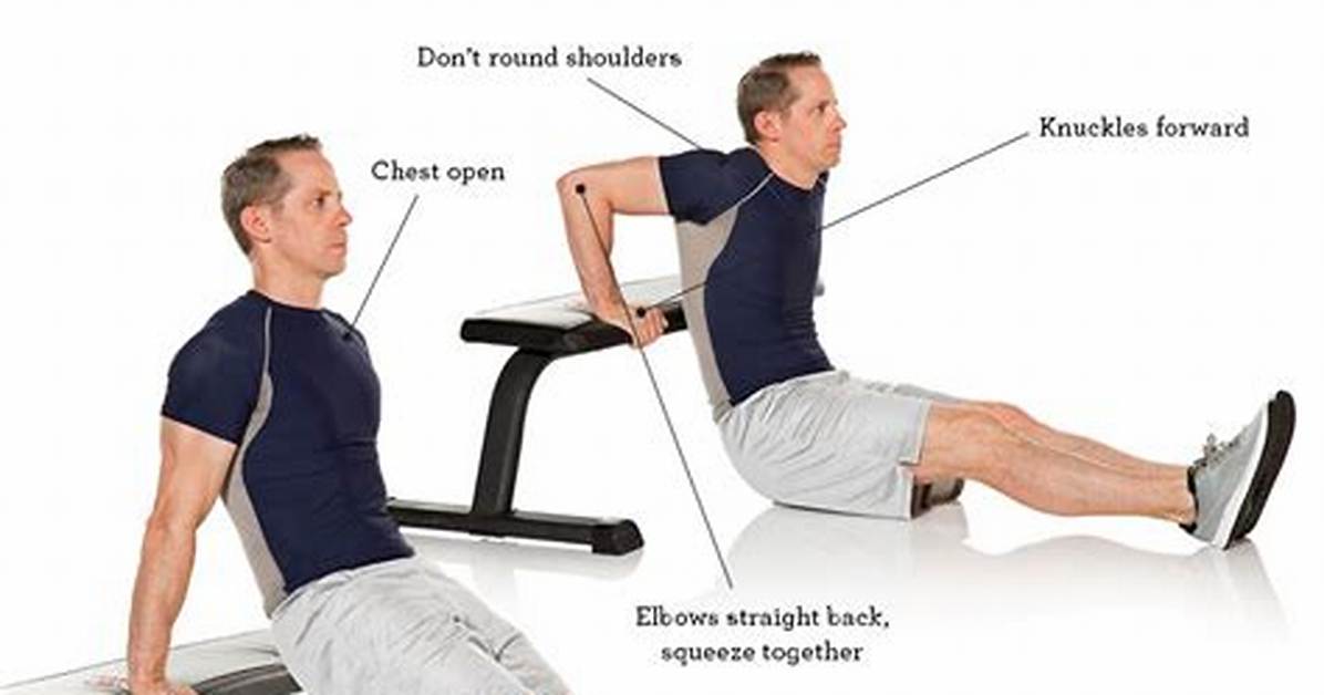 Which Tricep Head Do Dips Work?
