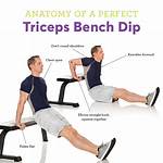 Which Tricep Head Do Dips Work?