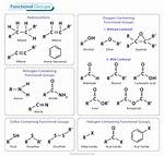 Which Two Functional Groups Are Always Found in Amino Acids?