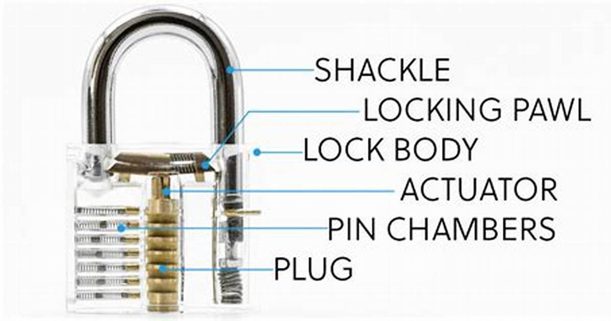 Which Way Do Padlocks Turn?