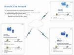 Which Windows 10 Edition Includes Branchcache?