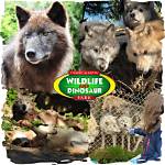 Which Wolf to Feed?
