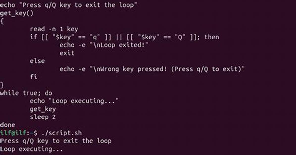 While Loop Bash