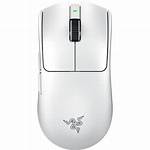White Mouse