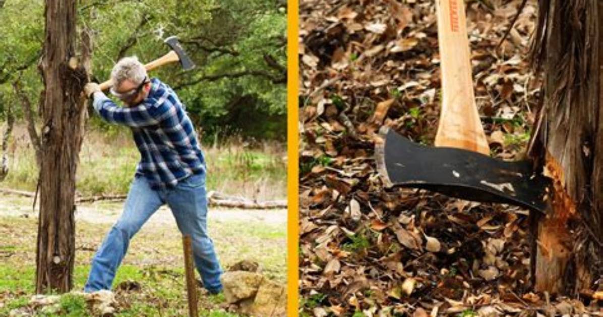 Who Chops Down Trees?