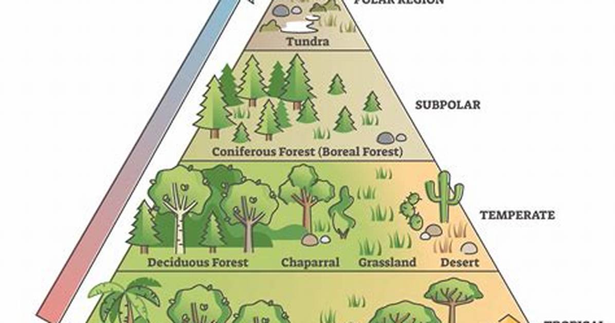 Who Do Biomes Differ?
