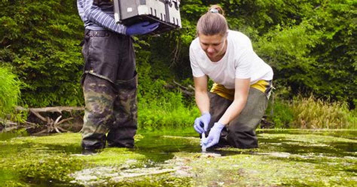 Who Do Ecologists Study?