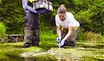 Who Do Ecologists Study?