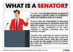Who Do Us Senators Represent?