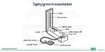 Who Does a Sphygmomanometer Work?