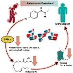 Who Does Acetaminophen Work?