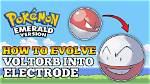 Who Does Electrode Evolve into?