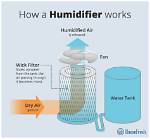 Who Does Humidifier Work?