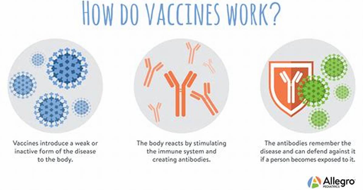 Who Does Immunisation Work?