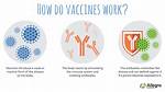 Who Does Immunisation Work?