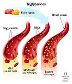 Who Does Triglycerides Test?