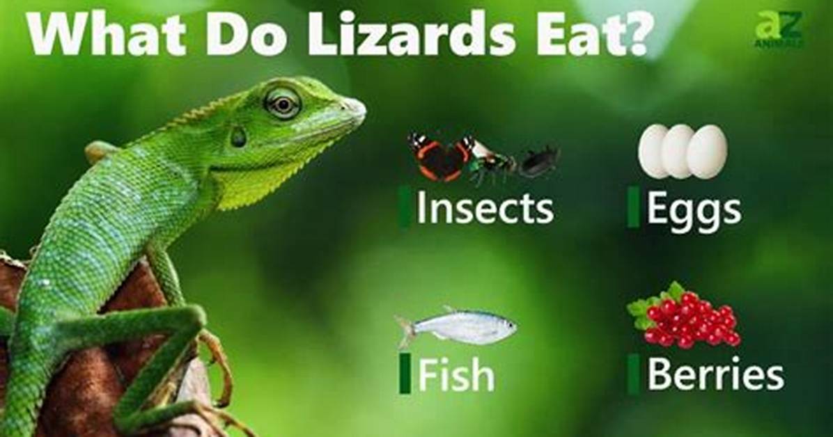 Who Eats a Lizard?
