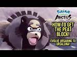 Who Evolves with Peat Block?