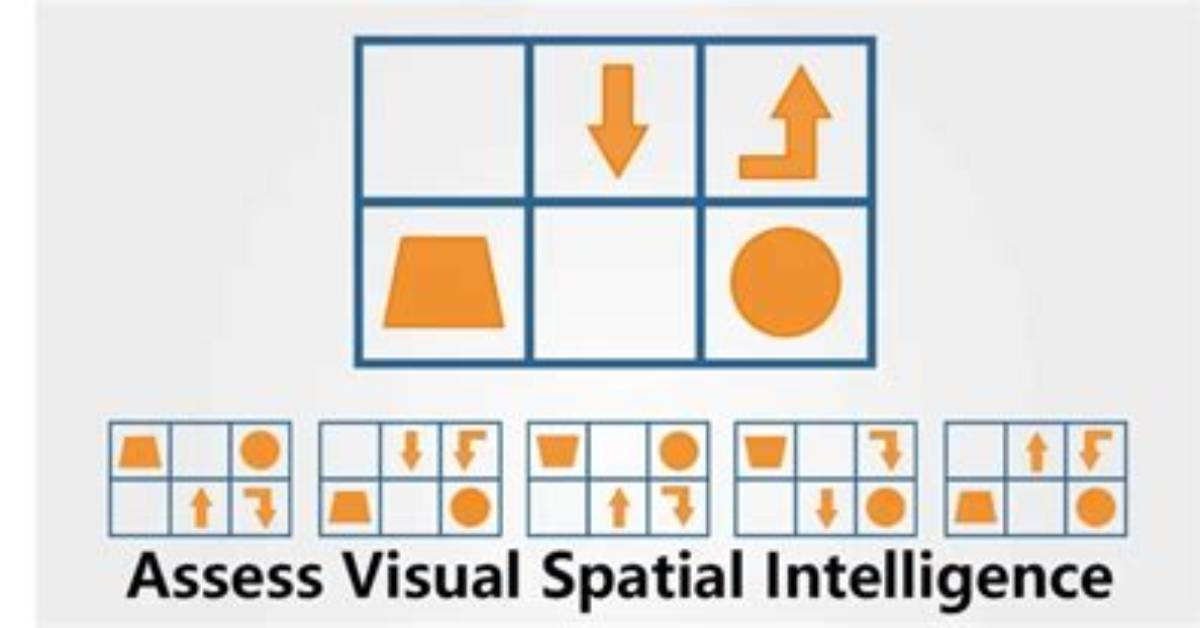 Who Has Spatial Intelligence?