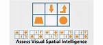 Who Has Spatial Intelligence?