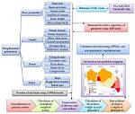 Who Introduced Morphometric Analysis?