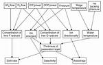 Who Invented Complex Interdependence?