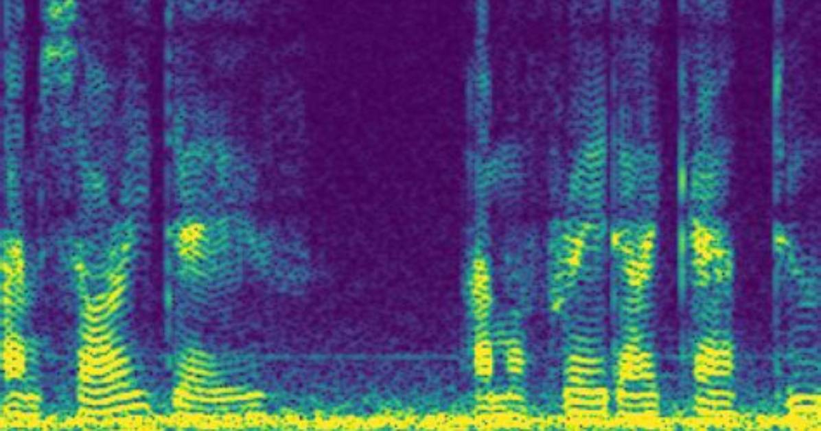 Who Invented the Spectrogram?