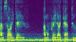 Who Invented the Spectrogram?