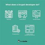 Who Is a Drupal Developer?