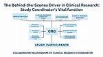 Who Is a Study Coordinator?