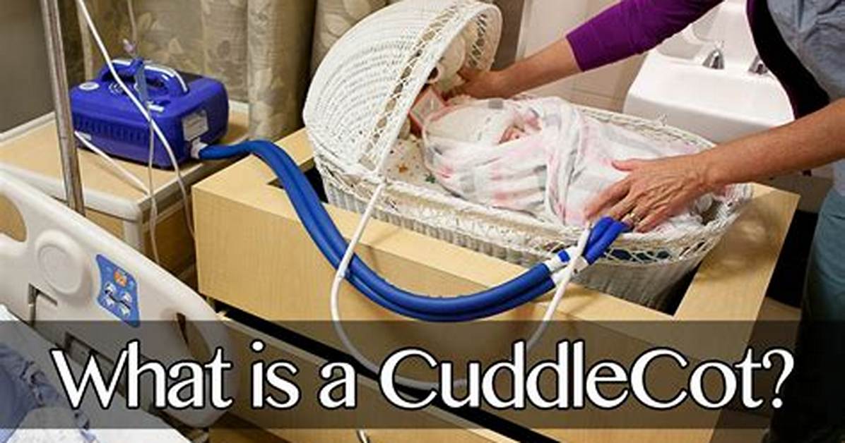 Who Is Cuddle Cot?