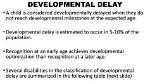 Who Is Developmentally Delayed?