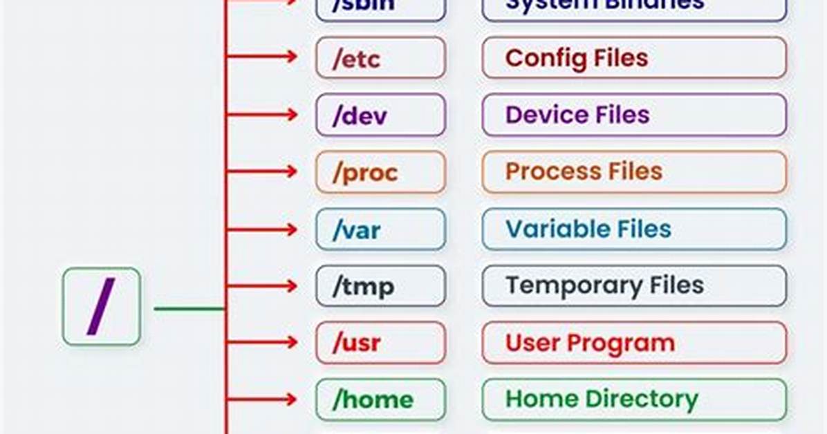 Who Is Using File Linux?
