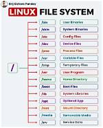 Who Is Using File Linux?