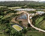 Who Owns Caribbean Broilers?