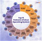 Who Uses Linux Operating System?