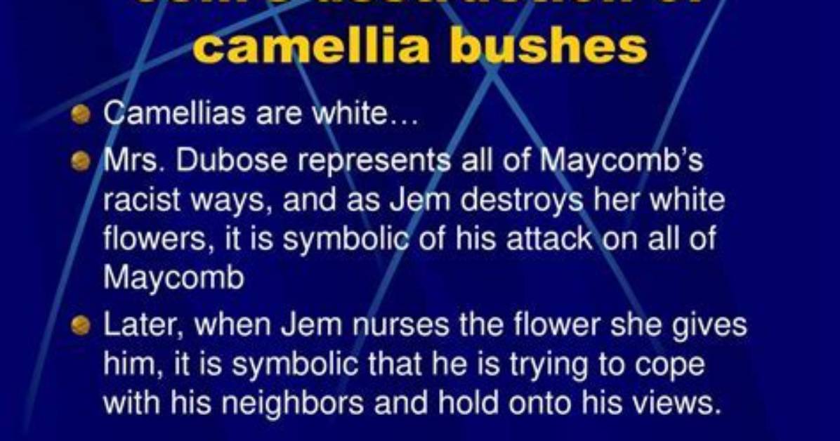 Whose Flowers Does Jem Destroy?