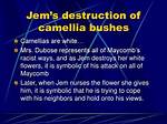 Whose Flowers Does Jem Destroy?