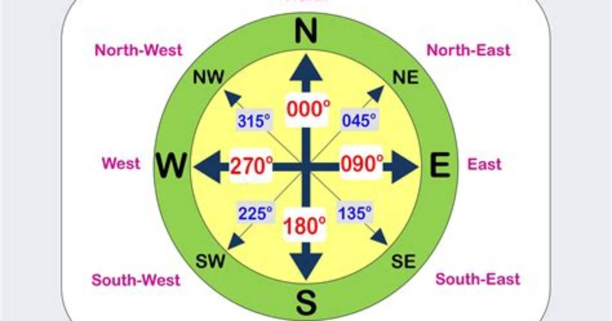 Why a Compass Points?